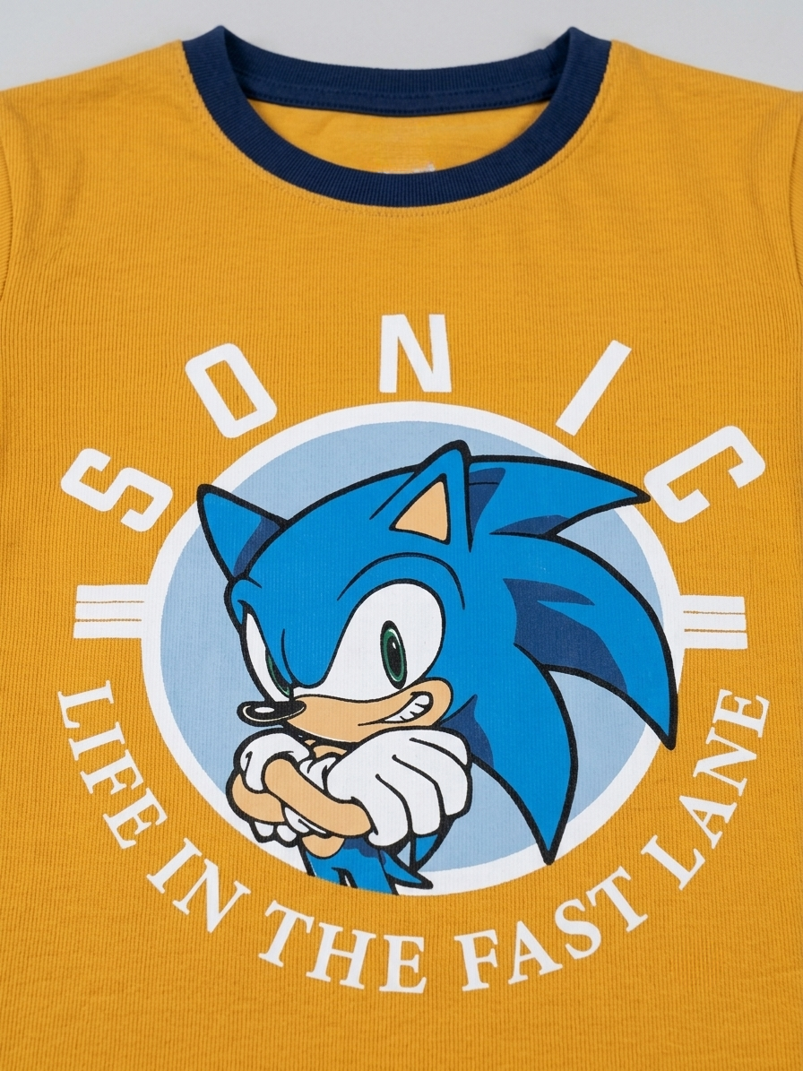Boy's Sonic Character Graphic T-shirt - Orange